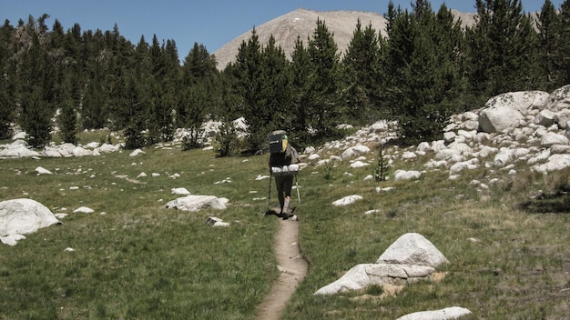 Photo rear view full length of hiker walking at yosemite national park