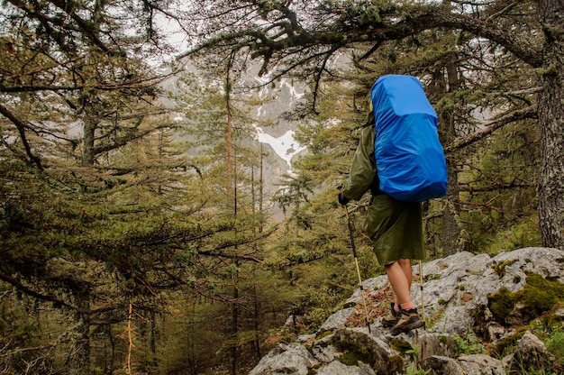 Rear view girl in the raincoat standing on the rock with hiking backpack and sticks