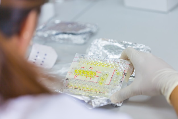 Rear view of Scientist holding a covered 96 well plate with samples 