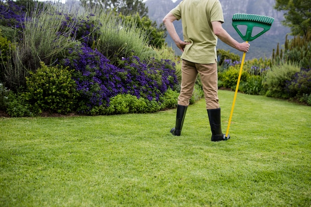 Rear view of senior man standing with garden tool