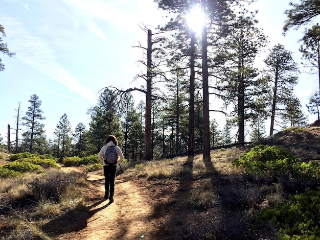 Photo rear view of woman hiking on trail in forest against sky