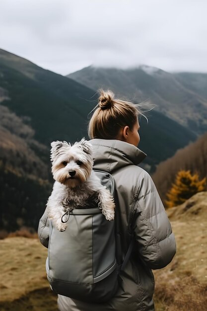 rear view of woman hiking with gray shaggy fluffy dog sitting in backpack in mountains in autumn pet