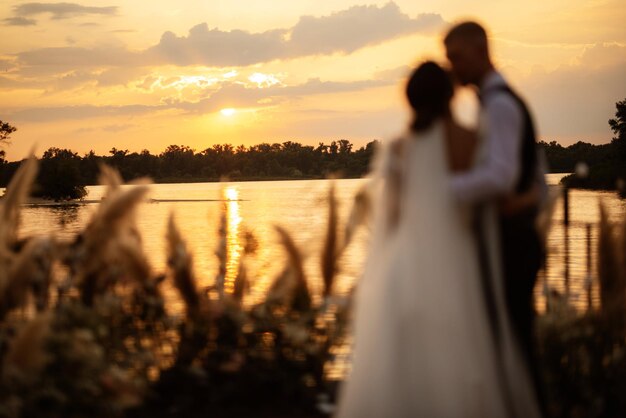 Photo rear view of woman standing at sunset