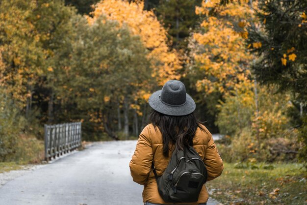 Photo rear view of woman with backpack walking on road through autumn woods                                 autumn colors