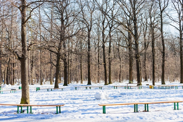 Recreation area in oak tree grove of urban park