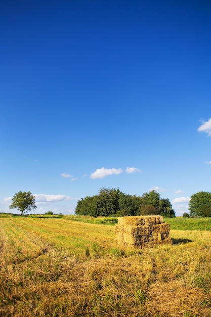 Rectangle shaped bales of straw on farmland with blue beautiful sky harvesting Summer sunset warm light