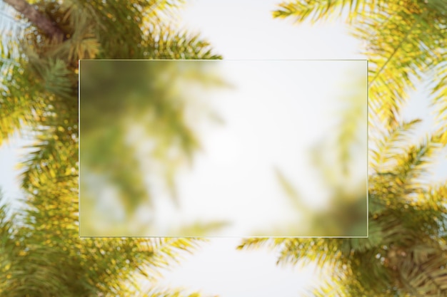 Rectangle shaped board and palm trees as background