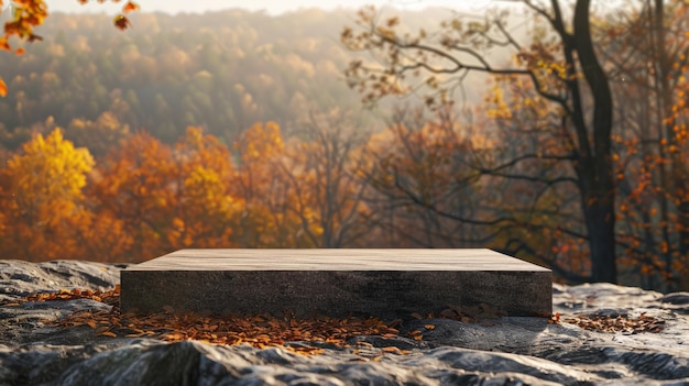 A rectangular podium is laying on a rock with autumn trees in the background