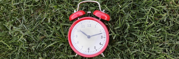 The red alarm clock lies on the uncut green grass closeup vacation season concept crop sowing