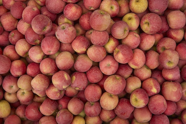 Red apple texture: lots of red apples collected in a bins at the time of their collection in the production phase. Apples storage.