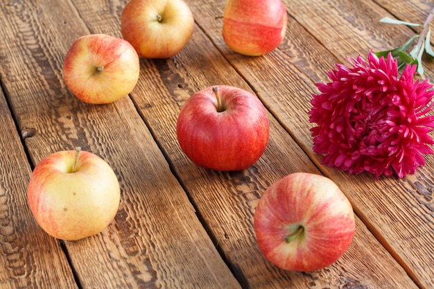 Red apples and aster flower on old wooden boards. Just harvested fruits from a garden.