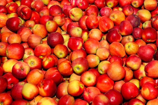 Red apples in boxes in the vegetable storage