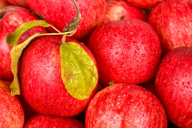 Red apples with drops of water