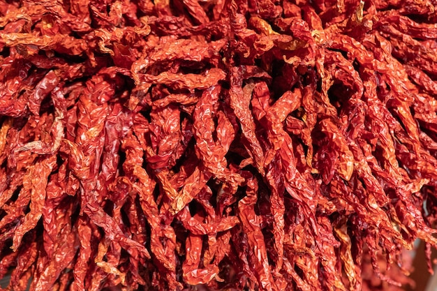 Red asian dried chili peppers bunch