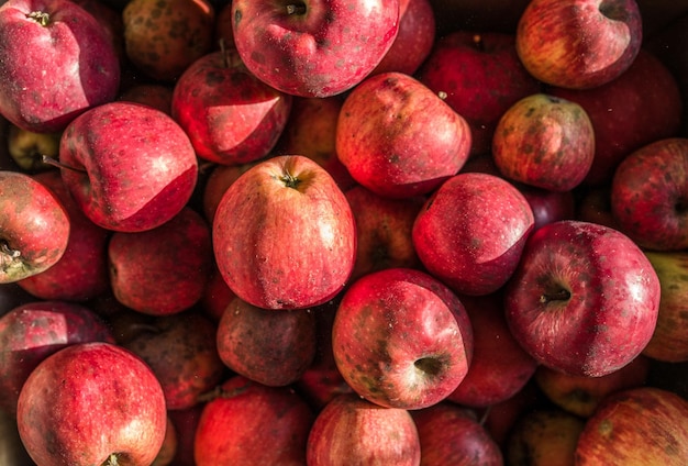 red autumn apples on top of each other