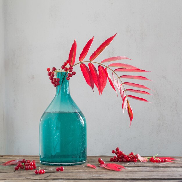 Red autumn leaves in glass vase and viburnum berries on wooden table