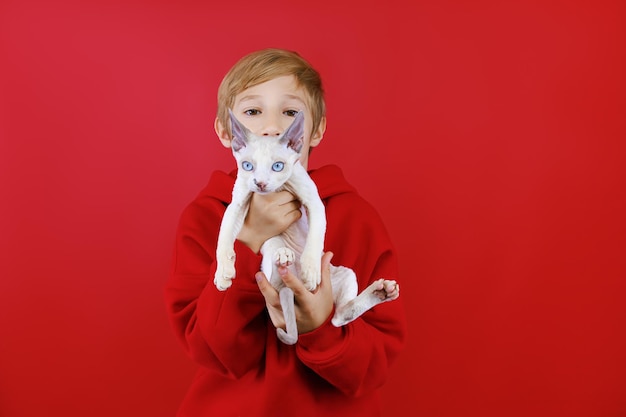 On a red background the boy holds in front of him a small white kitten that looks around