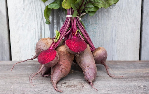 Red beetroot tied in a bun with tops on a wooden background closeup