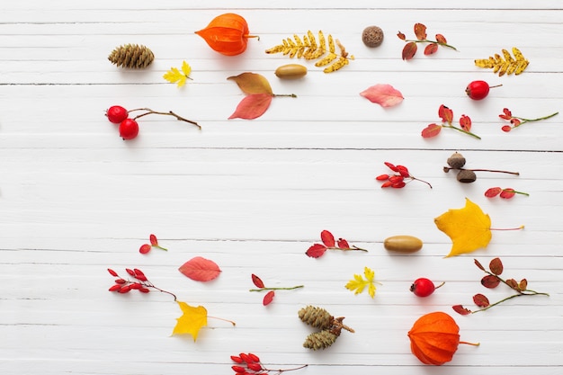 Red berriaes and  autumn leaves on white wooden background