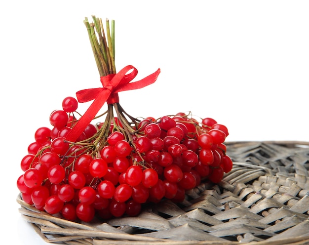 Red berries of viburnum isolated on white