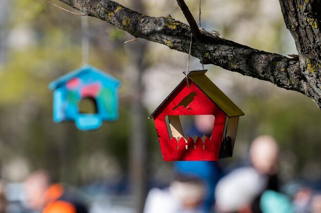 Red bird feeder in the form of a house hanging on a tree branch