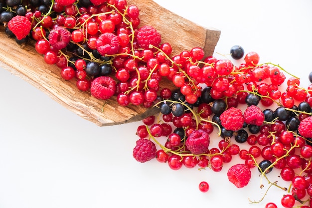 Red and black currant and loganberries on the white background. Large group of colorful berries.