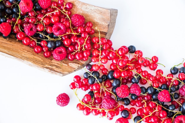 Red and black currant and loganberries on the white background. Large group of colorful berries.