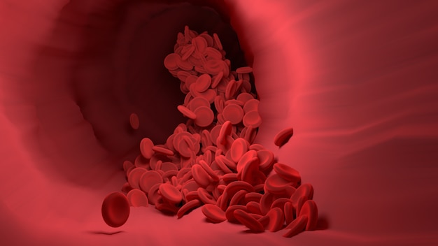 Red blood cell in blood vessel of body.