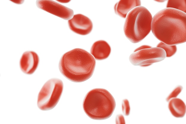 Red blood cells in artery, flow inside body, concept medical human health care, 3d rendering isolated on white