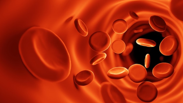 Red blood cells in bloodstream Medicine and biology scientific researchRed blood cells in vein or artery flow inside inside a living organismseen micro3D rendering illustration