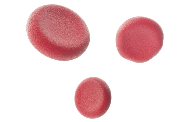 Red blood cells isolated on white backround. 3d illustration