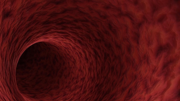 Red blood vessel of a human Concept of medicine and anatomy Texture of blood vessels 3d rendering