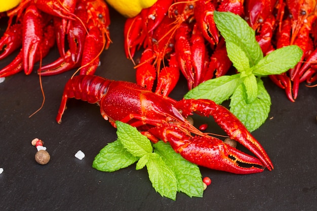 Red boiled Crayfish on black board with spices and mint leaves