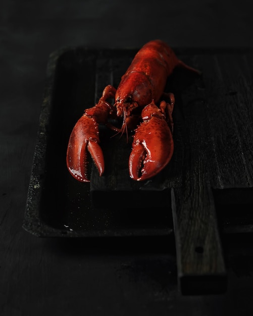 Photo red boiled lobster on black background