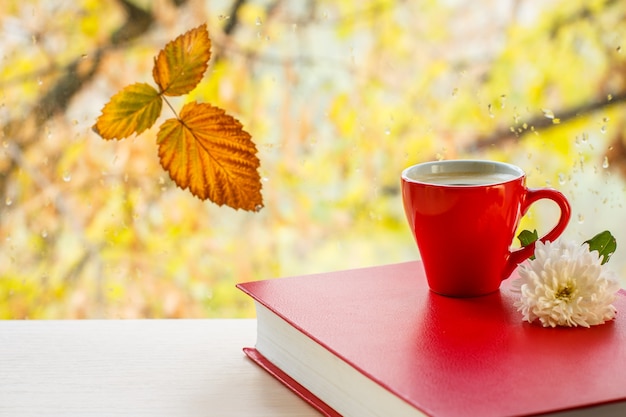 Red book, cup of coffee, white flower and dry leaf on window glass with water drops in the blurred natural background. Fallen leaf and rain drops on a windowpane with autumn trees in the background.