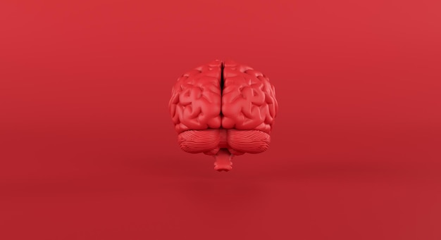 Red brain in front view on minimal studio background, thinking, idea, passionate business, medical. 3d rendering.