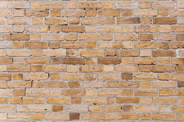 Red brick wall background.