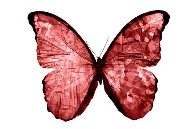 Red butterflies isolated on white background. tropical moths. insects for design. watercolor paints