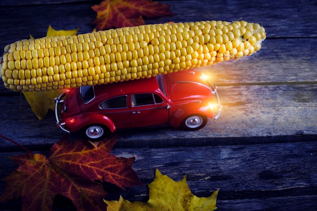 Red car with its headlights carrying corn and driving through autumn foliage