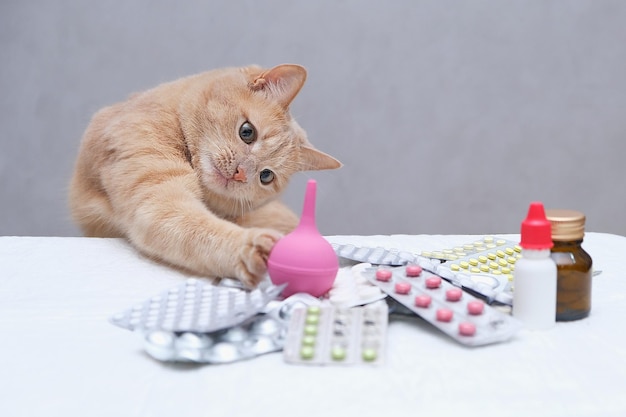 Red cat playing with rubber medical enema pile of medicines