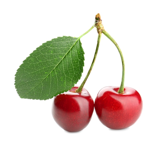 Red cherries with leaf isolated on white