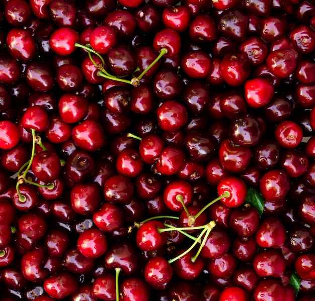 Red cherry background