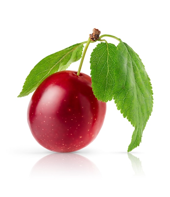 Red cherry plum with leaves isolated on white backgrounds with clipping path. High quality photo