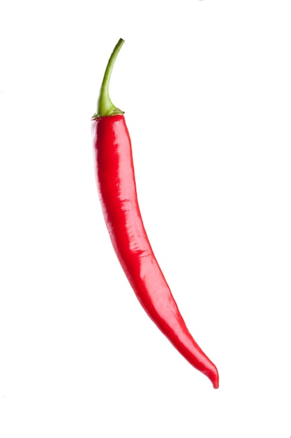 Red chili or chilli cayenne pepper isolated on white background