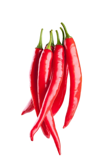 Red chili or chilli cayenne pepper isolated on white background