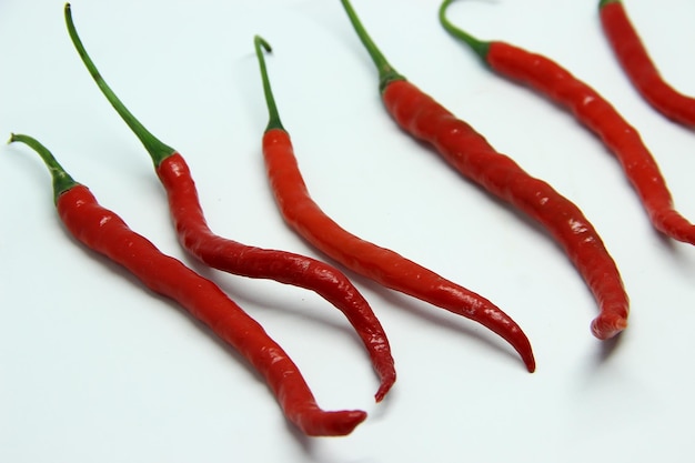 Red chili pepper are lined up on white background