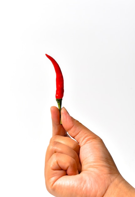 Red chili pepper