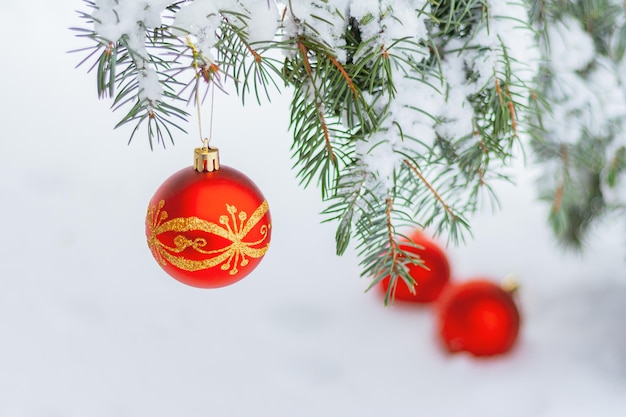 Red christmas ball on a fir branch on a winter snowy street