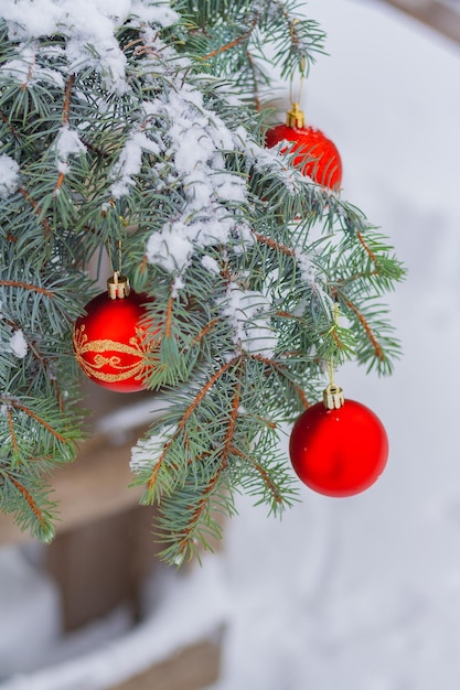 Red christmas baubles hang on snowy fir branches outdoor