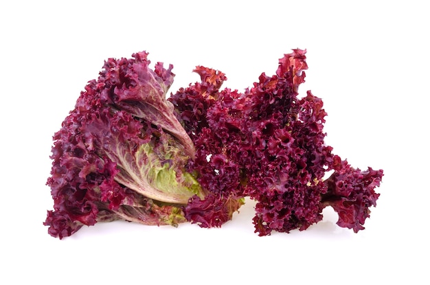 Red coral salad isolated on the white background